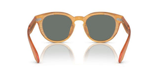 Oliver Peoples N.05 Sun Ov 5547su Unisex Orange Pantos Sunglasses