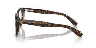 Oliver Peoples N.06 Ov5546u Unisex Havana Geometric Eyeglasses