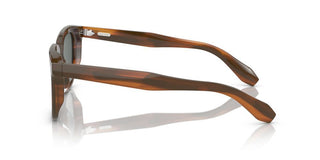 Oliver Peoples N.06 SUN OV 5546SU unisex Brown Pantos Sunglasses
