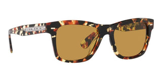 Oliver Peoples Oliver Sun Ov 5393su Men Havana Squared Sunglasses