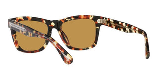 Oliver Peoples Oliver Sun Ov 5393su Men Havana Squared Sunglasses