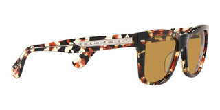 Oliver Peoples Oliver Sun Ov 5393su Men Havana Squared Sunglasses