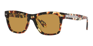 Oliver Peoples Oliver Sun Ov 5393su Men Havana Squared Sunglasses