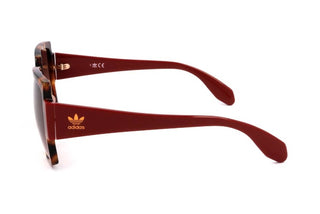 Adidas Originals OR0005 women Havana Geometric Sunglasses