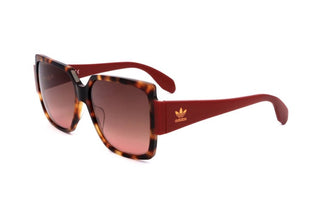 Adidas Originals OR0005 women Havana Geometric Sunglasses