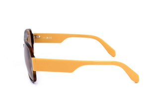 Adidas Originals OR0006 men Havana Geometric Sunglasses