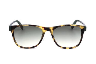 Adidas Originals OR0009-H men Havana Geometric Sunglasses