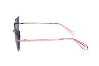 Adidas Originals OR0016 women Violet Cat Eye Sunglasses