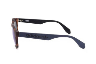Adidas Originals OR0025 unisex Havana Round Sunglasses
