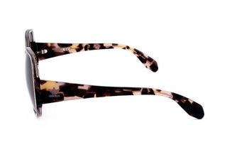 Adidas Originals OR0033 women Brown Geometric Sunglasses
