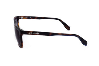 Adidas Originals OR0040 men Havana Geometric Sunglasses