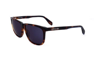 Adidas Originals OR0040 men Havana Geometric Sunglasses