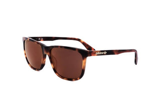 Adidas Originals OR0040 men Havana Geometric Sunglasses