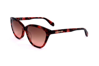 Adidas Originals OR0041 women Havana Cat Eye Sunglasses