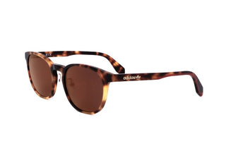 Adidas Originals OR0042-H men Havana Round Sunglasses