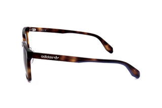 Adidas Originals OR0043-H men Havana Geometric Sunglasses