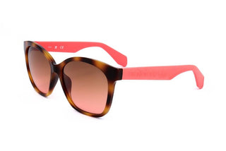 Adidas Originals OR0045 women Havana Geometric Sunglasses