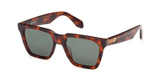 Adidas Originals OR0110 unisex Havana Sunglasses