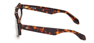 Adidas Originals OR0113 unisex Havana Geometric Sunglasses