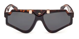 Adidas Originals OR0113 unisex Havana Geometric Sunglasses