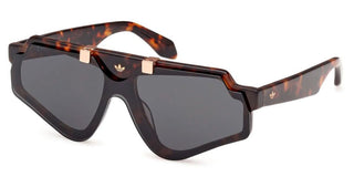 Adidas Originals OR0113 unisex Havana Geometric Sunglasses