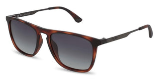Police Origins Lite 34 Splq80e Unisex Havana Squared Sunglasses