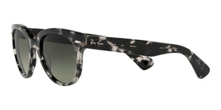 Ray-Ban ORION RB 2199 unisex Grey Round Sunglasses