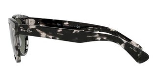 Ray-Ban ORION RB 2199 unisex Grey Round Sunglasses