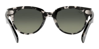 Ray-Ban ORION RB 2199 unisex Grey Round Sunglasses