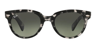 Ray-Ban ORION RB 2199 unisex Grey Round Sunglasses