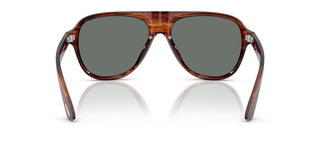 Oliver Peoples PAUL NEWMAN OV 5581SU men Havana Pilot Sunglasses
