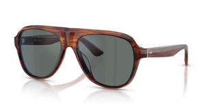 Oliver Peoples PAUL NEWMAN OV 5581SU men Havana Pilot Sunglasses