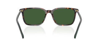Polo Ralph Lauren Ph4226 Men Havana Squared Sunglasses