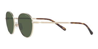 Polo Ralph Lauren PH 3144 men Gold Round Sunglasses
