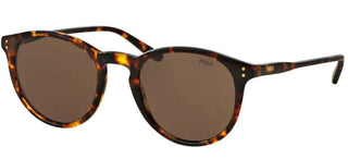 Polo Ralph Lauren PH 4110 unisex Havana Round Sunglasses