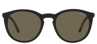Polo Ralph Lauren PH 4183U men Havana Round Sunglasses