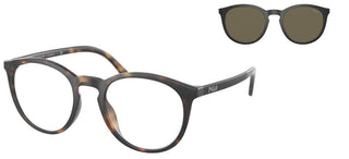 Polo Ralph Lauren PH 4183U men Havana Round Sunglasses