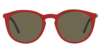 Polo Ralph Lauren PH 4183U men Black Round Sunglasses