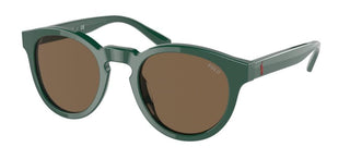 Polo Ralph Lauren PH 4184 men Green Round Sunglasses