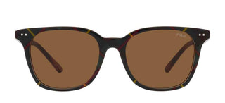 Polo Ralph Lauren PH 4187 men Brown Geometric Sunglasses