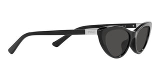 Polo Ralph Lauren PH 4199U women Black Cat Eye Sunglasses