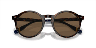 Polo Ralph Lauren PH 4204U men Havana Round Sunglasses