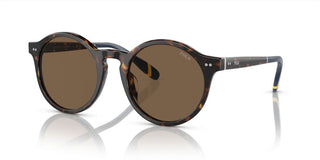 Polo Ralph Lauren PH 4204U men Havana Round Sunglasses