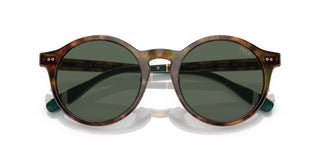 Polo Ralph Lauren PH 4204U men Brown Round Sunglasses