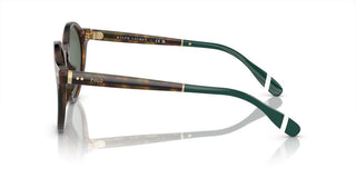 Polo Ralph Lauren PH 4204U men Brown Round Sunglasses