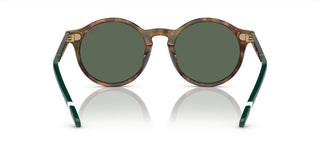 Polo Ralph Lauren PH 4204U men Brown Round Sunglasses