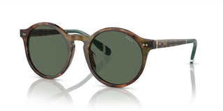 Polo Ralph Lauren PH 4204U men Brown Round Sunglasses
