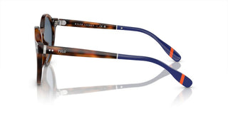 Polo Ralph Lauren PH 4204U men Havana Round Sunglasses