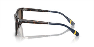 Polo Ralph Lauren PH 4205U men Havana Squared Sunglasses