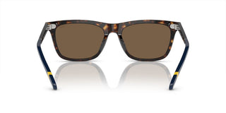 Polo Ralph Lauren PH 4205U men Havana Squared Sunglasses